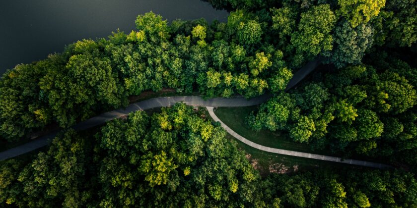 Forskningsudbud: Biodiversitet og transformativ forandring